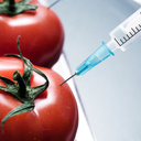 Genetically modified foods and you