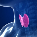 Hypothyroidism, nutrition and functional medicine